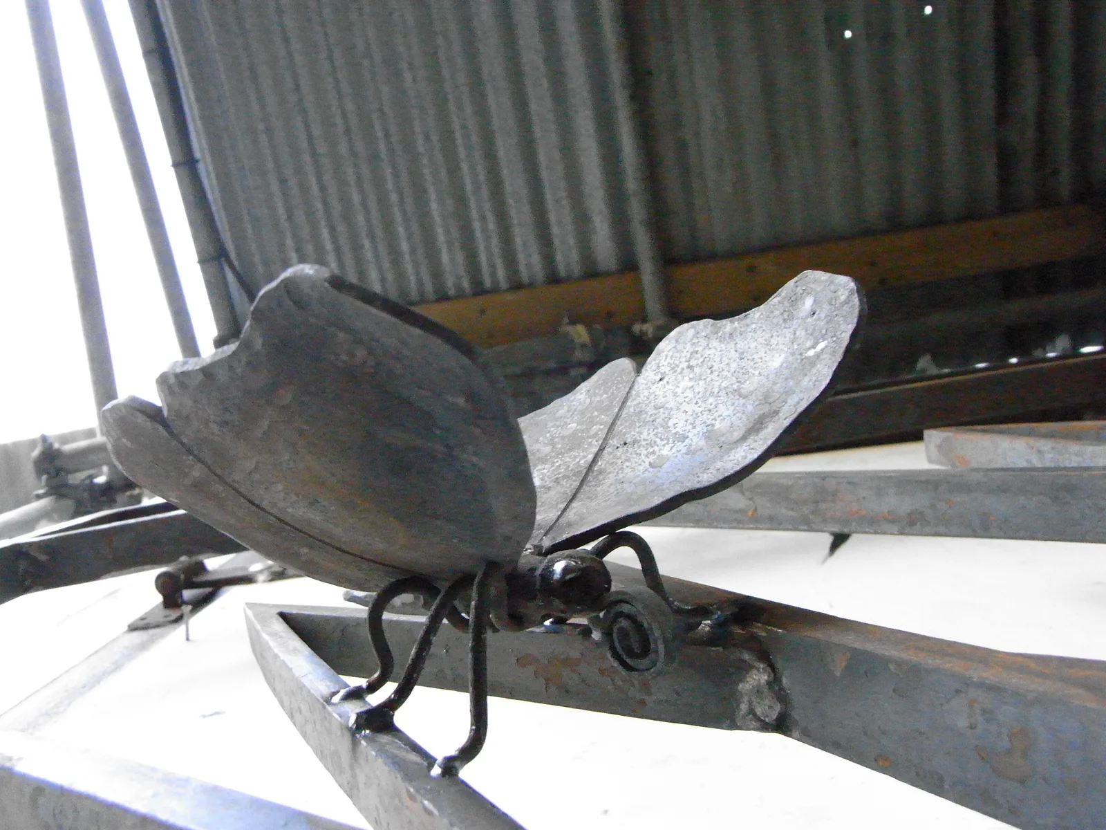 At the Forge, photo 20